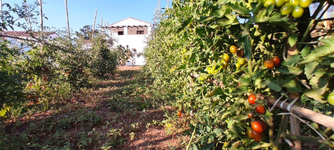 فندق Cort'E Nastasj Tertenìa المظهر الخارجي الصورة